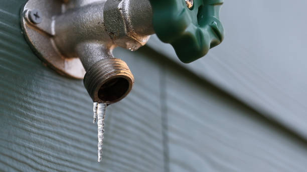 Best Local Plumber Services  in Lakesite, TN